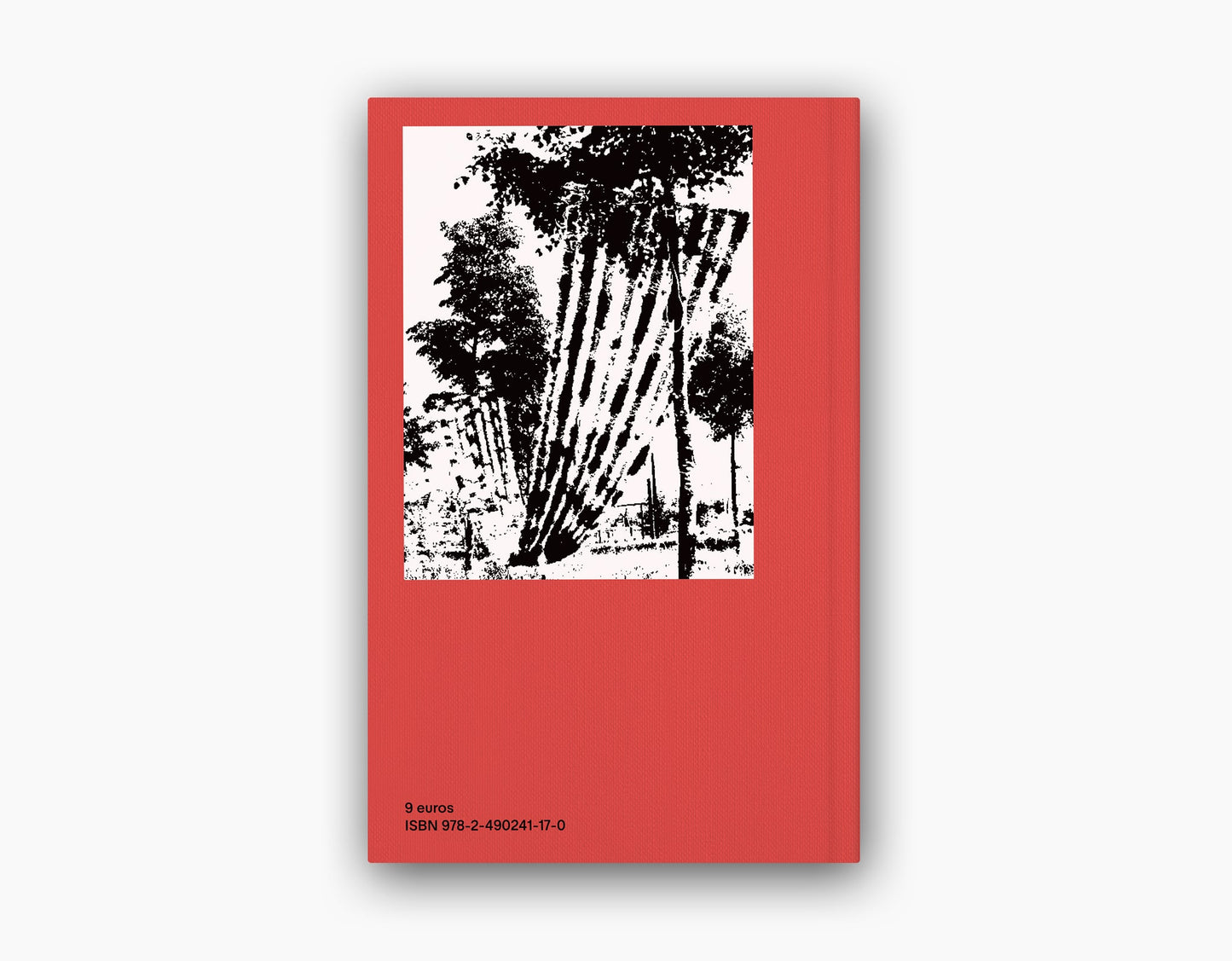 Les Fils renoués. Ana Lupaş, les années 70