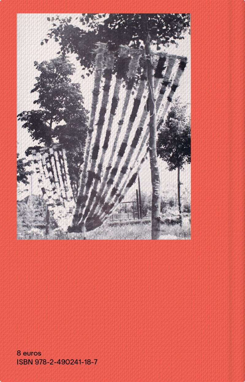 Les Fils renoués. Ana Lupaş, les années 70